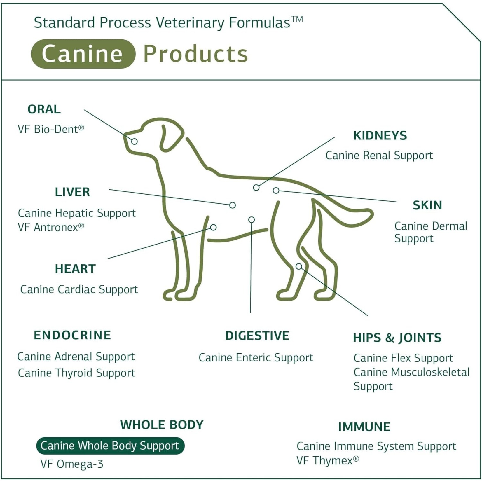Standard Process Canine Whole Body Support 25g Standard Process