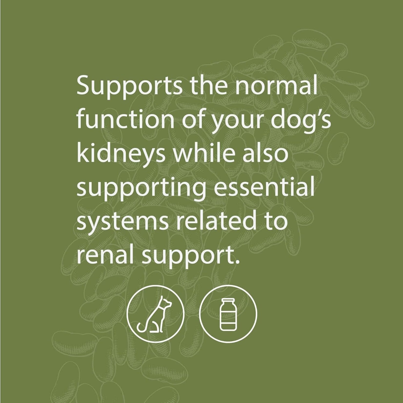 Standard Process Canine Renal Support 30g Standard Process