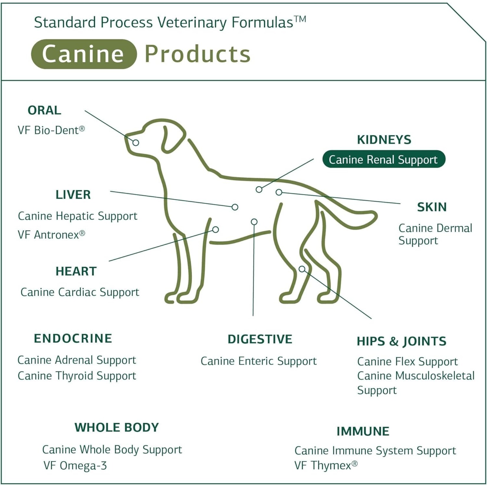 Standard Process Canine Renal Support 30g Standard Process