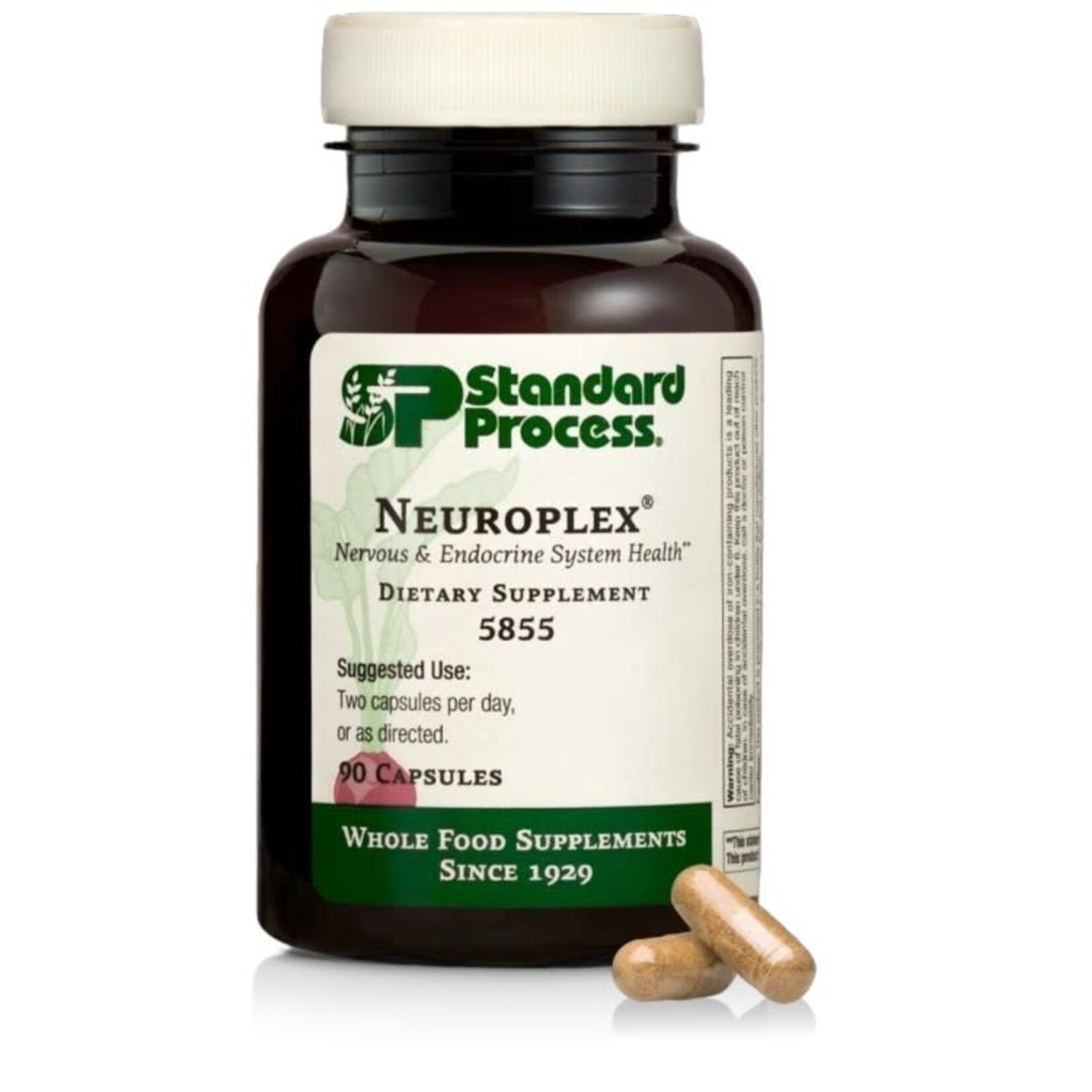 Neuroplex 90c Standard Process