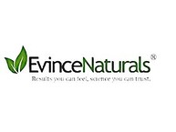 Evince International