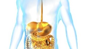 Digestion 101-Physio and Pathophysiology-Part I Digestion 101-Physio and Pathophysiology-Part I