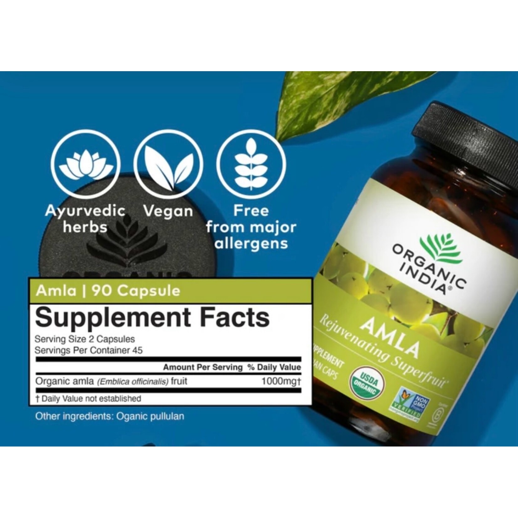 Amalaki Amla 90c Organic India