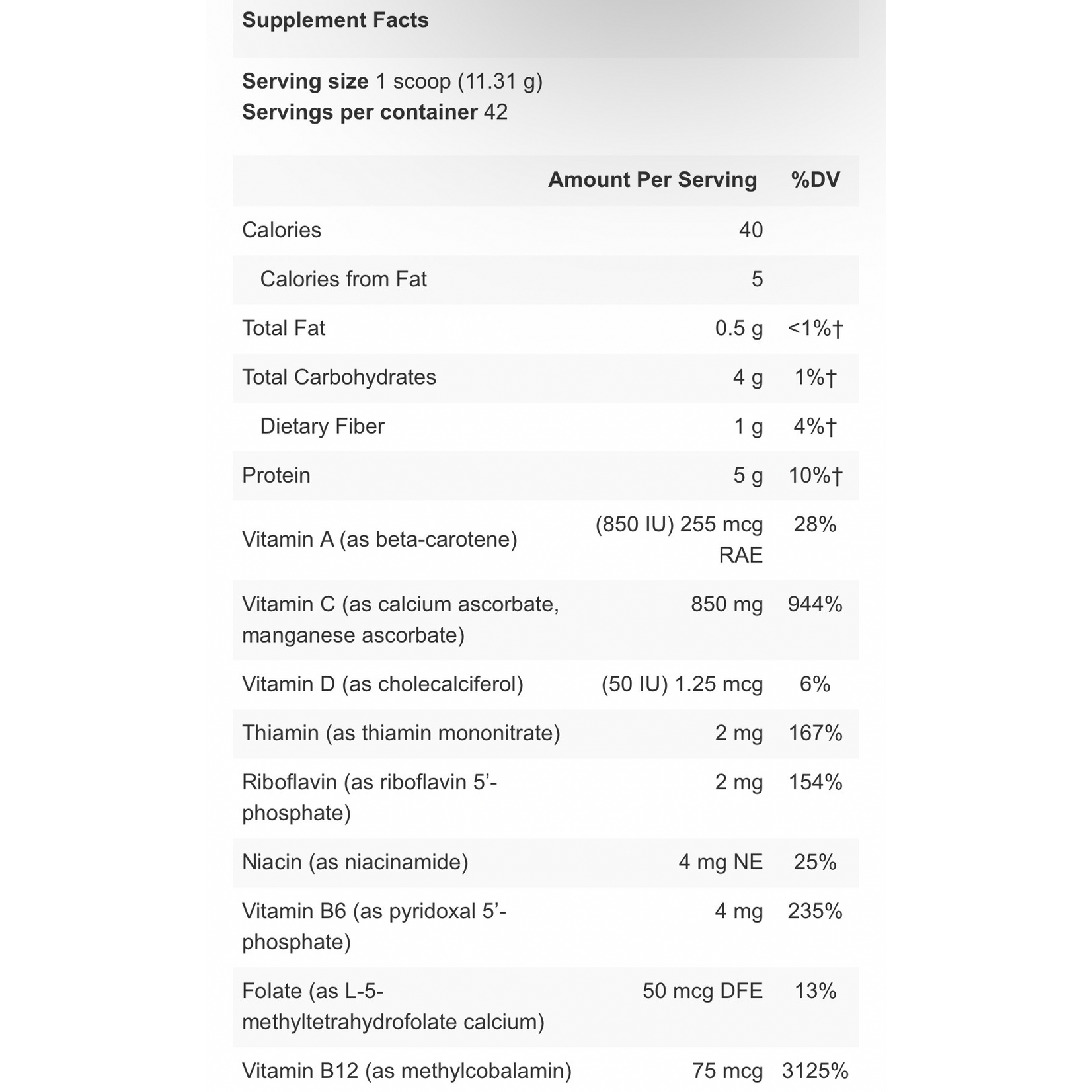 Apex Energetics ClearVite-PCH Chocolate 1.05lb K-89 Apex Energetics