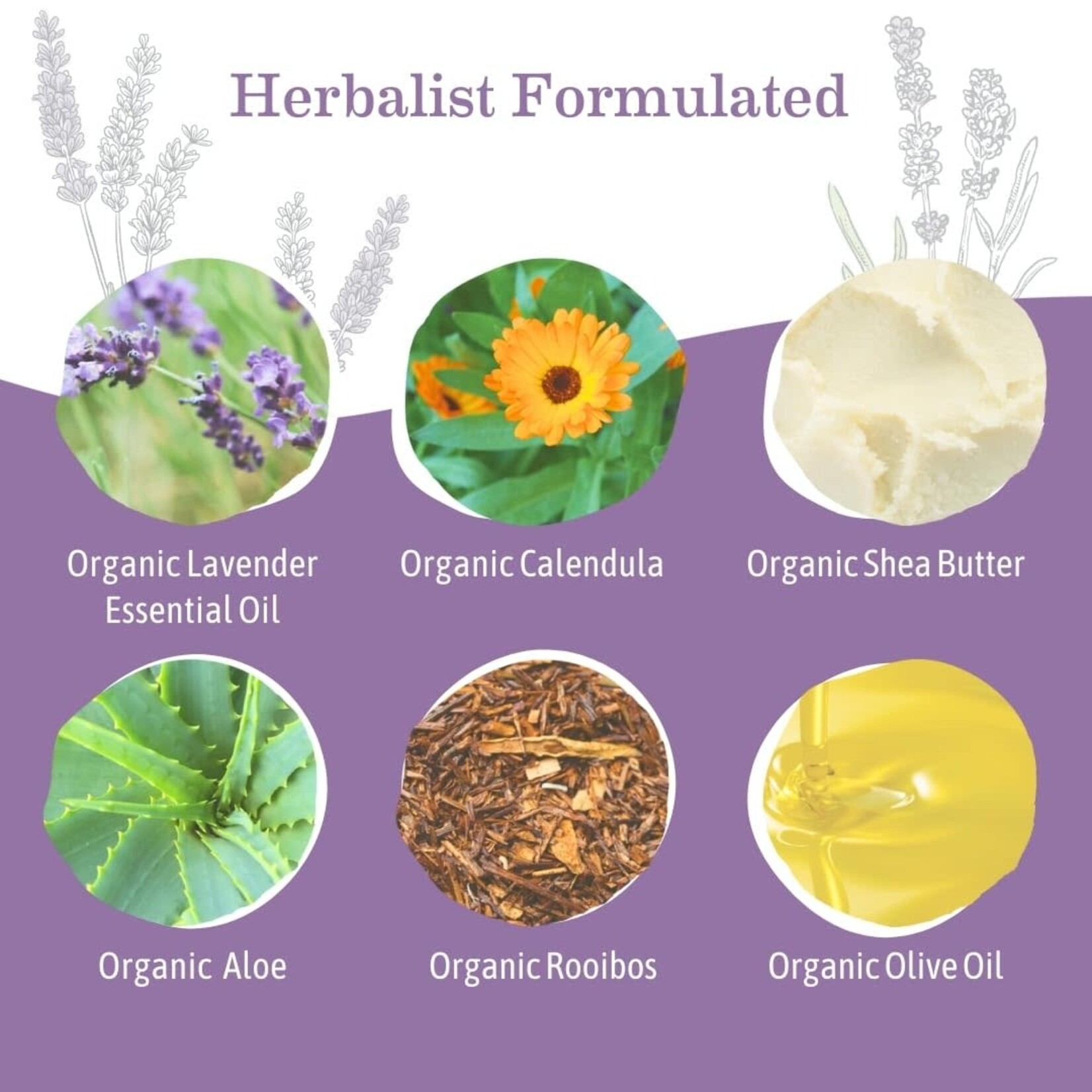 Calming Lavender Baby Lotion Earth Mama *sale*