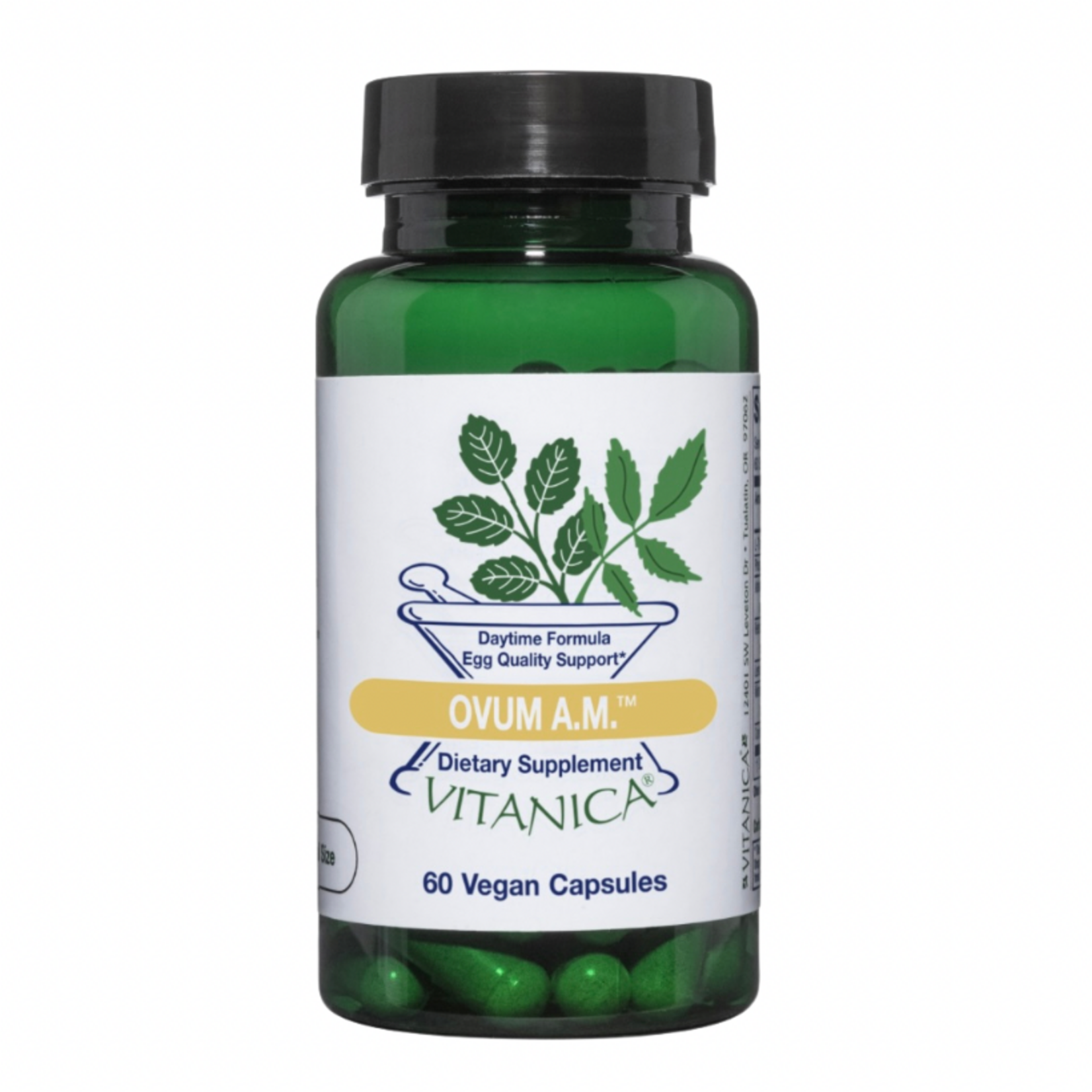 Vitanica Ovum AM 60c Vitanica