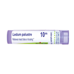 Boiron Ledum Palustre Boiron