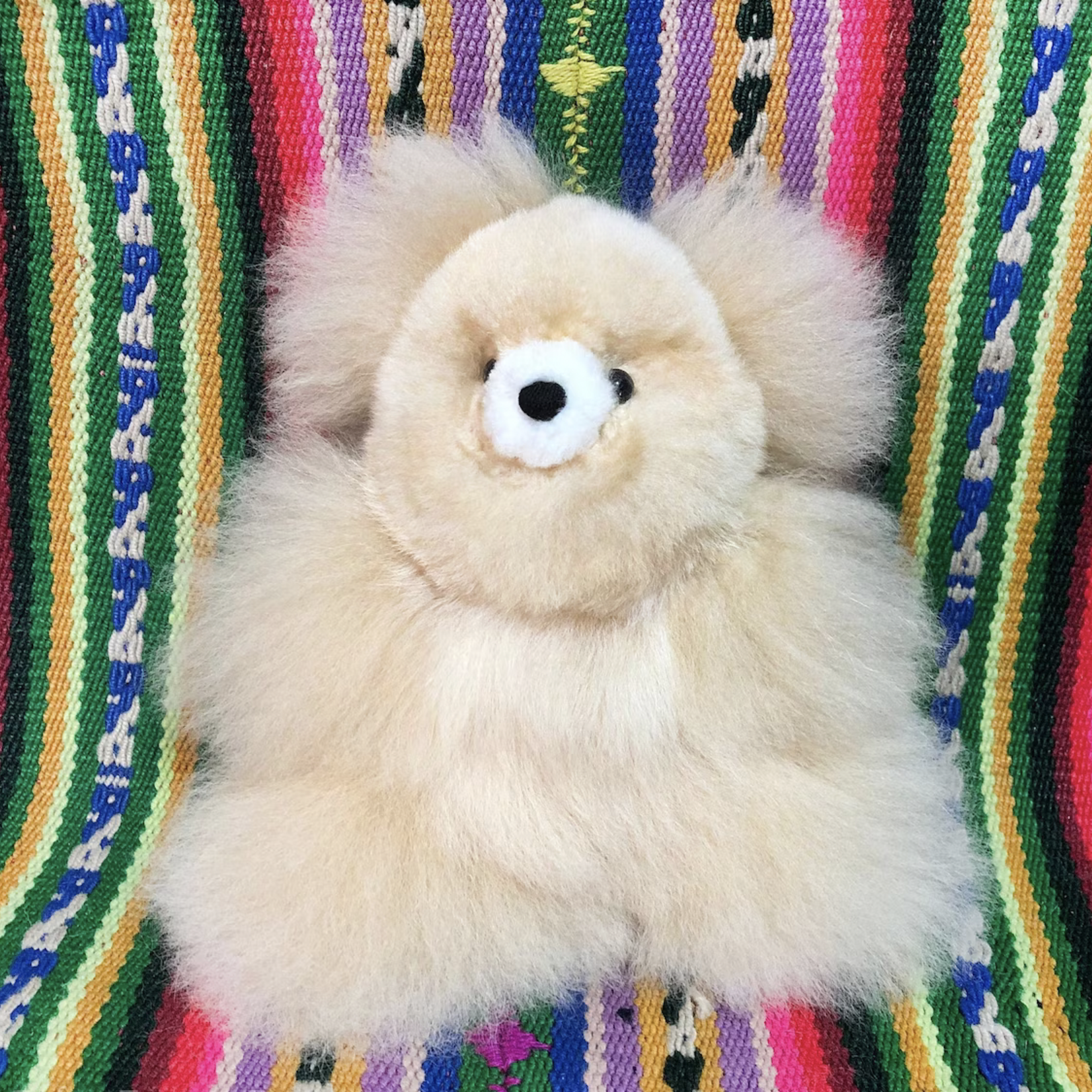 Après Babe Alpaca Mini Teddy