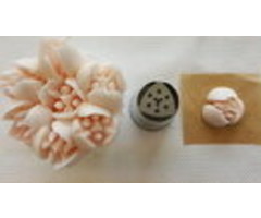 Russian Piping Tip 245