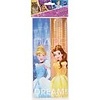 Disney Princess Treat Bags