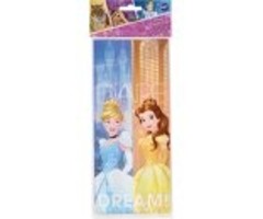 Disney Princess Treat Bags
