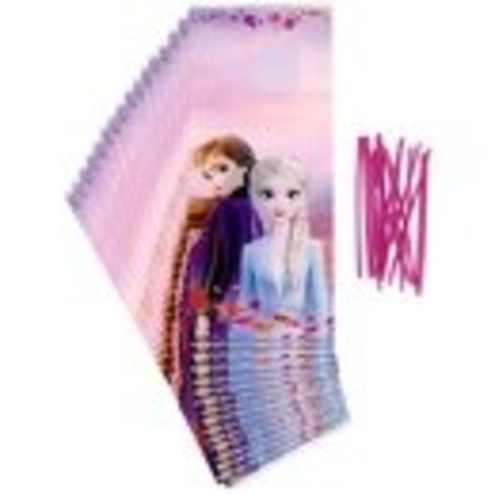 Disney Frozen II Party Bags