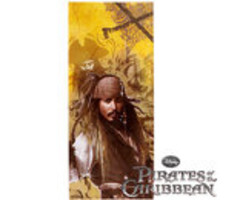 Pirates of the Caribbean Treat Bags by Wilton