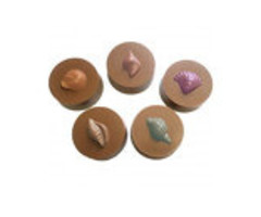 Seashell Cookie Candy Mold