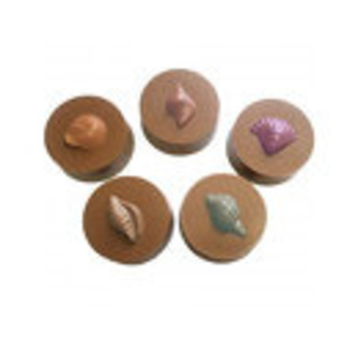 Seashell Cookie Candy Mold