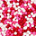 Red, White and Pink NonPareils Cookie Sprinkles 2 Cups