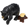 Black Bear Birthday Cake Kit