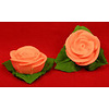 Pink roses with leaves 6