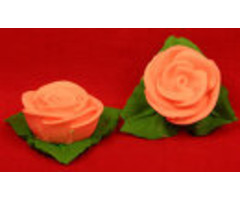 Pink roses with leaves 6