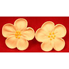 Yellow Wild Roses 5