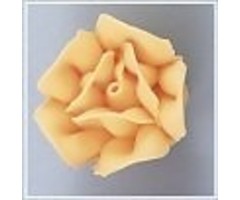 Golden yellow roses 6