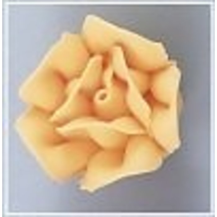 Golden yellow roses 6