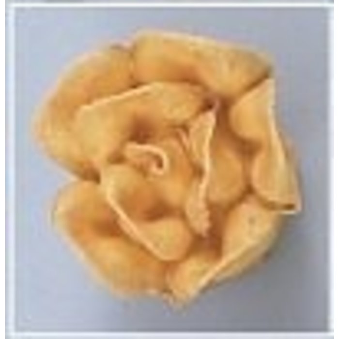 Gold roses 6 count
