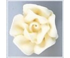 Ivory Roses 6 count