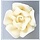 Ivory Roses 6 count