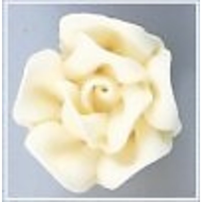 Ivory Roses 6 count