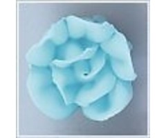 Light blue roses 6