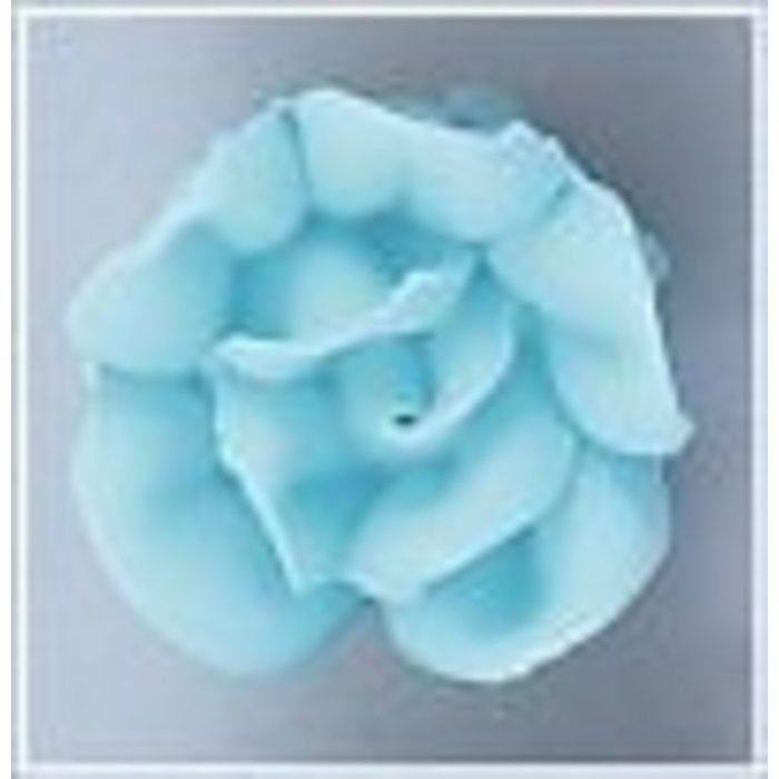 Light blue roses 6
