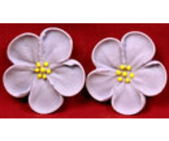 Lavender Wild Roses 5