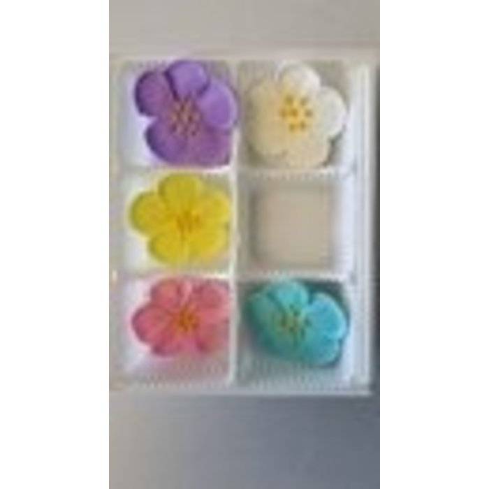 Assorted Wild Roses 5