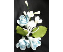 Pear Rose Spray Light Blue