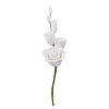 White Gum Paste Rose Filler Spray