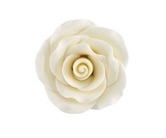 Ivory Colored Rose Made out of Gum Paste 2"