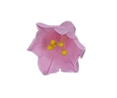 Pink Agapanthus GumPaste Flowers