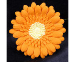 Orange Gerbera Daisy GumPaste Flowers on A wire