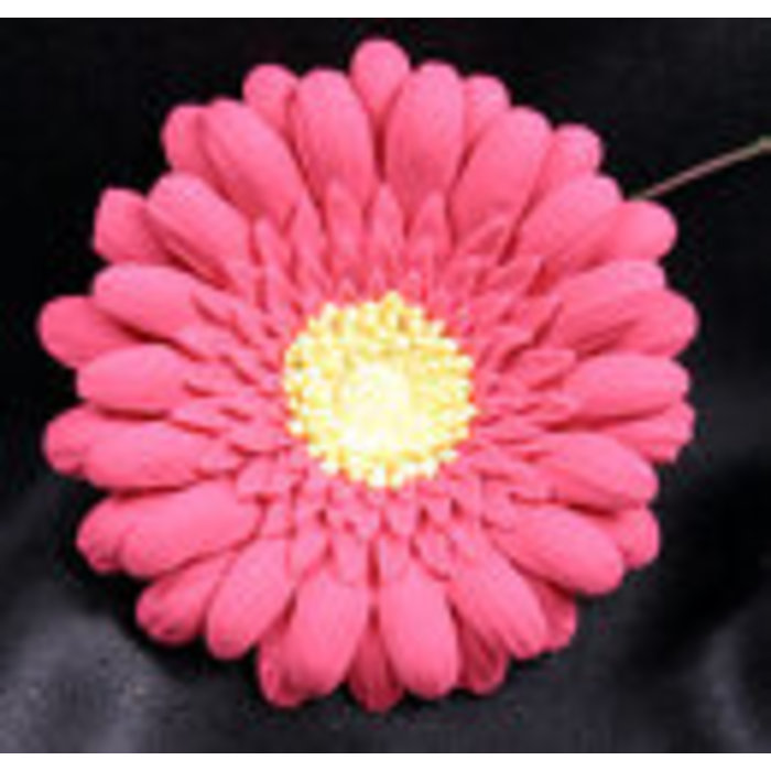 Pink Gerber Daisy GumPaste Flowers