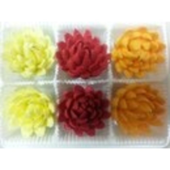 Chrysanthemums Yellow, Golden Yellow and Red