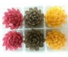 Chrysanthemums 6 pk. Yellow, Red & Brown