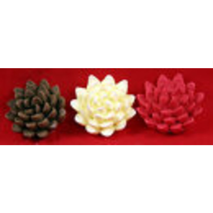 Chrysanthemums 6 pk. Golden Yellow, Red & Brown