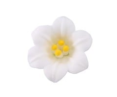 White Easter Lily GumPaste Flowers