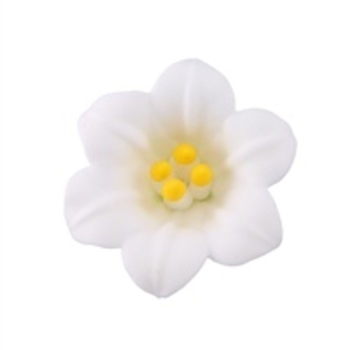 White Easter Lily GumPaste Flowers