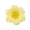 Yellow Easter Lily GumPaste Flowers