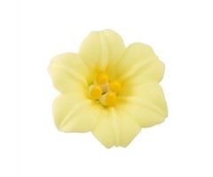 Yellow Easter Lily GumPaste Flowers