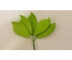 Calla Lily Leaves 5 Pk