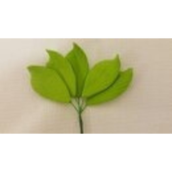 Calla Lily Leaves 5 Pk