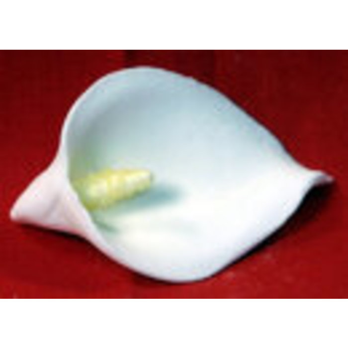 Calla Lily GumPaste Flowers 1 1/2"